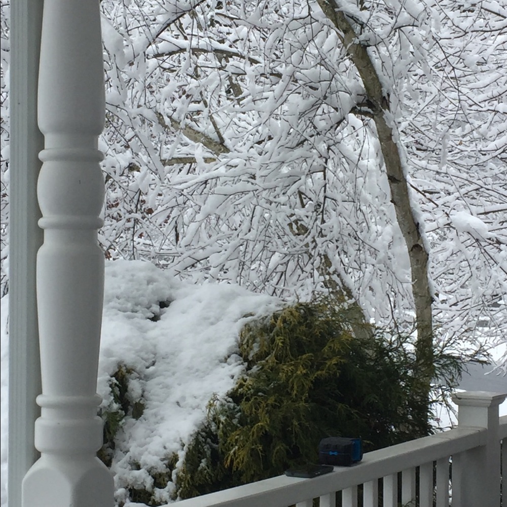 Meet your Posher, Lacey